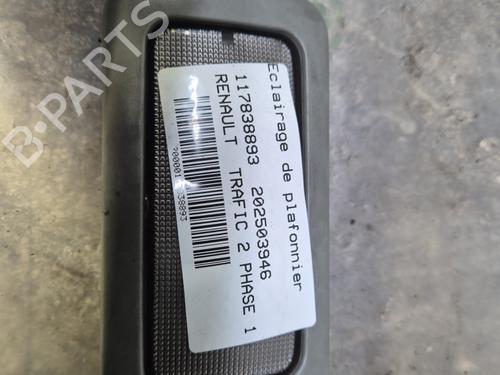 Kabinelys RENAULT TRAFIC II Bus (JL) [2001-2025]  30892598