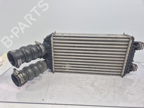 Intercooler PEUGEOT 208 II (UB_, UP_, UW_, UJ_) 1.2 PureTech 100 (101 hp) 31366621