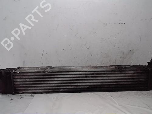 Intercooler RENAULT MEGANE III Hatchback (BZ0/1_, B3_) 2.0 dCi (BZ0Y) | BP13834881M30 