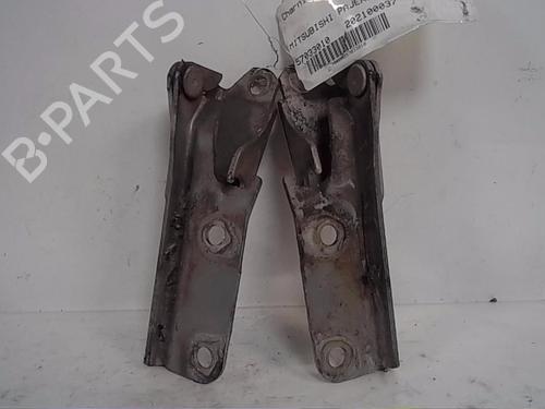 Used Hinge/Door check strap MITSUBISHI PAJERO IV (V8_W, V9_W) [2006-2025]  14561069