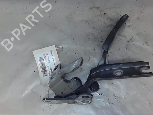 Hinge/Door check strap CITROËN C5 II (RC_)  | BP21060455C146 