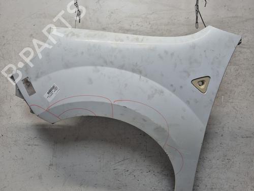 Used Left front fenders RENAULT KANGOO Express (FW0/1_) [2008-2025]  28613222