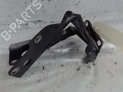 Used Hinge/Door check strap NISSAN PATHFINDER III (R51) 2.5 dCi 4WD (174 hp) 21179665