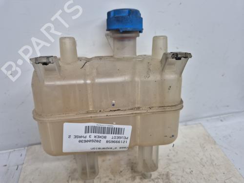 vaschetta-di-espansione-peugeot-boxer-van-2006-33210566 main image