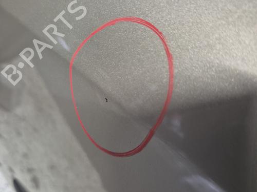 Left front door RENAULT CLIO III (BR0/1, CR0/1) 1.5 dCi (BR0H, CR0H, CR1S, BR1S) | BP30092271C2