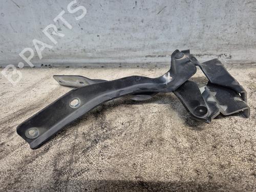 Hinge/Door check strap NISSAN QASHQAI / QASHQAI +2 I (J10, NJ10, JJ10E)  | BP27811778C146 