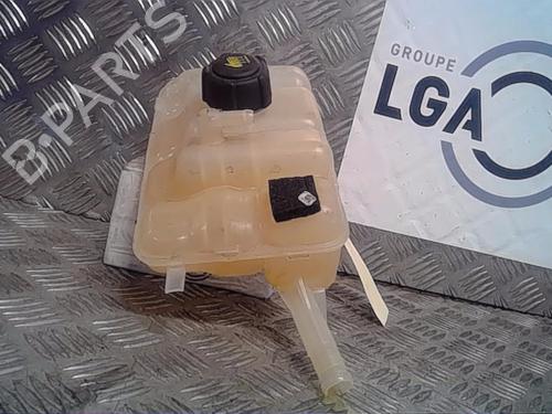 Used Expansion tank RENAULT MEGANE IV Hatchback (B9A/M/N_) 1.8 RS TCe 280 (B9M6) (279 hp) 13857525