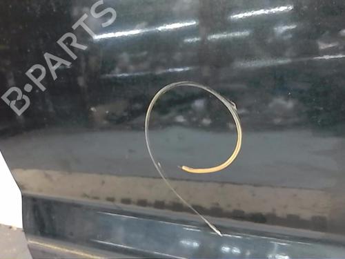 Left rear door LAND ROVER DISCOVERY II (L318)  | BP19141917C4 