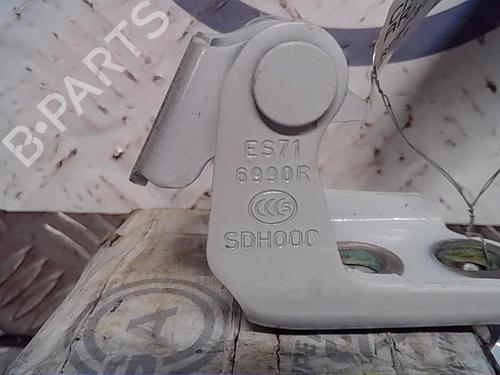 Hinge/Door check strap RENAULT SCÉNIC IV (J9_) 1.3 TCe 160 (J9NC) | BP14556388C146 