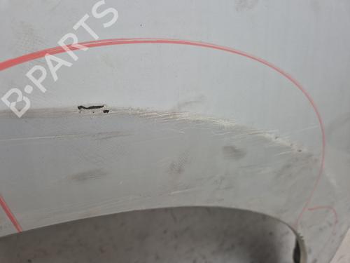 Left front fenders RENAULT KANGOO Express (FW0/1_)  | BP28613222C41 
