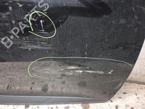 Right front door RENAULT MEGANE III Hatchback (BZ0/1_, B3_) 1.5 dCi (BZ09, BZ0D, BZ1W, BZ29, BZ14) | BP29195667C3 