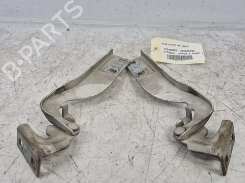 hingedoor-check-strap-citroen-jumper-ii-van-2006-34356093 main image