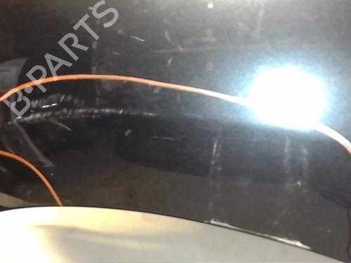 Left front fenders RENAULT SCÉNIC III (JZ0/1_) 1.9 dCi (JZ0J, JZ1J, JZ1K, JZ1S) | BP20713756C41 