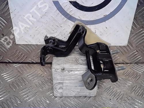 Used Hinge/Door check strap RENAULT KADJAR (HA_, HL_) 1.2 TCe 130 (HLMR) (130 hp) 14556266