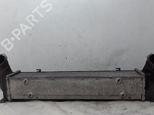 Intercooler BMW 3 Touring (E91)  | BP13823382M30 