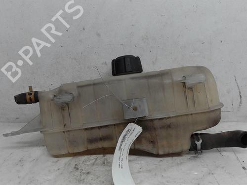 Used Expansion tank RENAULT CLIO III (BR0/1, CR0/1) [2005-2014]  14927852