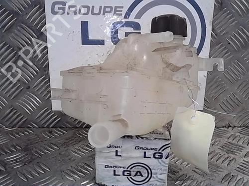 Expansion tank RENAULT MEGANE III Hatchback (BZ0/1_, B3_) 1.9 dCi (BZ0N, BZ0J) | BP13861786C120 