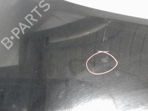 Tailgate JAGUAR XF I (X250) 2.7 D | BP16282006C6 