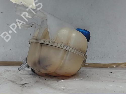 Used Expansion tank FIAT PUNTO EVO (199_) [2008-2025]  19141911