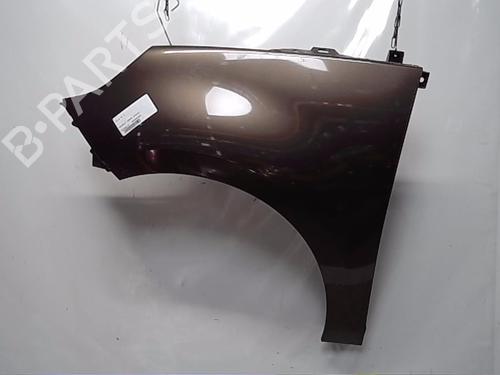 Used Left front fenders RENAULT SCÉNIC III (JZ0/1_) 1.5 dCi (110 hp) 13840518