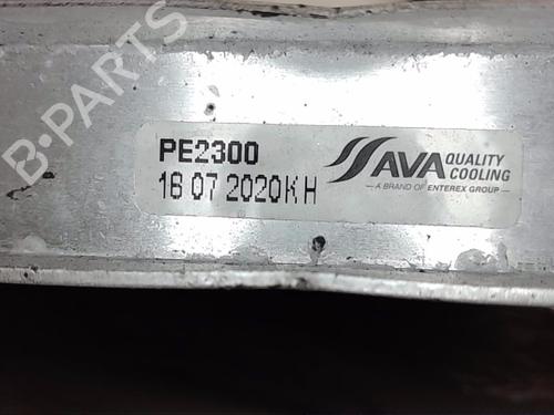 Køler CITROËN XSARA (N1) 1.4 i (75 hp) 13831461