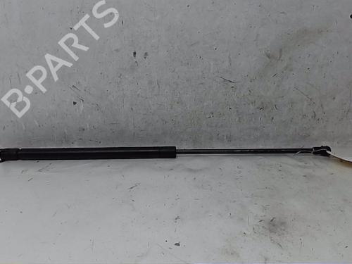 Hood lift support AUDI A3 (8L1) S3 quattro | BP16695895C139 