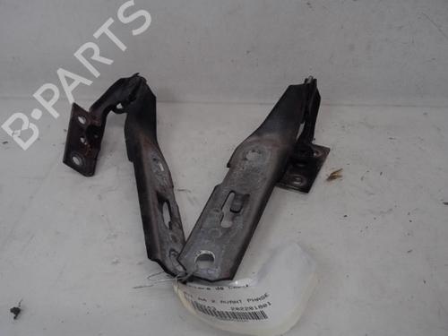 Used Hinge/Door check strap AUDI A4 B7 Avant (8ED) [2004-2008]  14562494