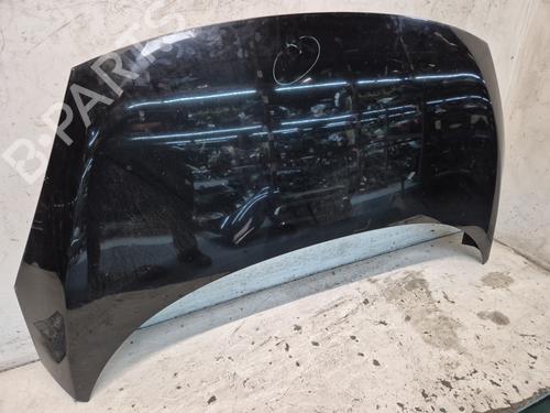 Used Hood RENAULT SCÉNIC III (JZ0/1_) 1.6 dCi (JZ00, JZ12) (130 hp) 26945198