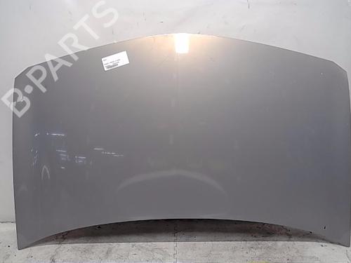 Used Hood RENAULT MEGANE II (BM0/1_, CM0/1_) [2001-2012]  13840049