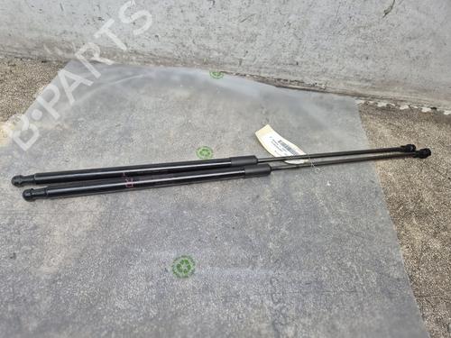 Used Tailgate lift support NISSAN JUKE (F15) 1.5 dCi (110 hp) 30766950