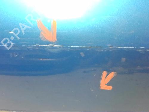 Used Right rear door PEUGEOT 307 (3A/C) 1.6 16V (109 hp) 13827678