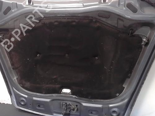 Hood VW TOUAREG (7LA, 7L6, 7L7) 2.5 R5 TDI | BP13829321C1 