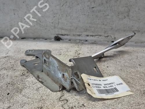 Hinge/Door check strap PEUGEOT PARTNER Box Body/MPV (5_, G_)  | BP26968649C146