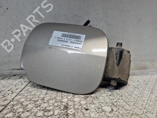 Used Fuel flap RENAULT CLIO III (BR0/1, CR0/1) 1.5 dCi (BR17, CR17) (86 hp) 25040846