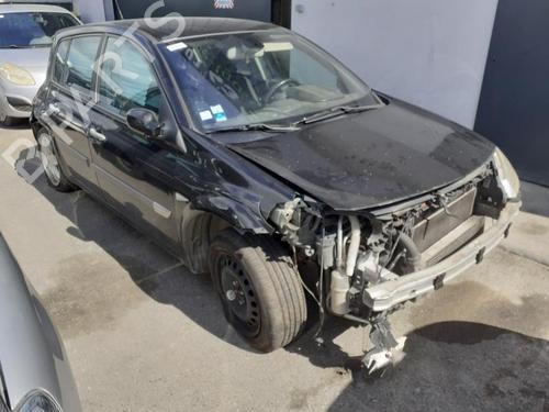 Left rear door RENAULT MEGANE II (BM0/1_, CM0/1_)  | BP13851216C4 