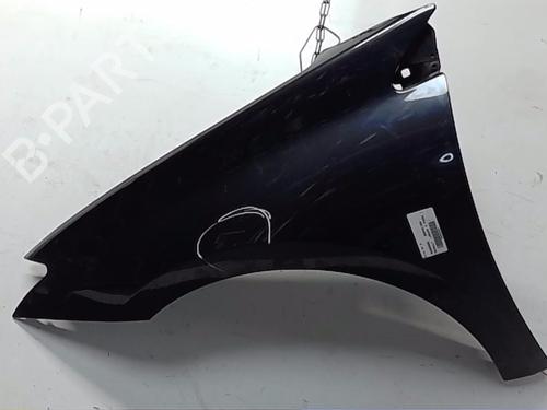 Used Left front fenders RENAULT LAGUNA III (BT0/1) 2.0 dCi (BT01, BT08, BT09, BT0E, BT0K, BT12, BT1C, BT1D,... (150 hp) 17976255