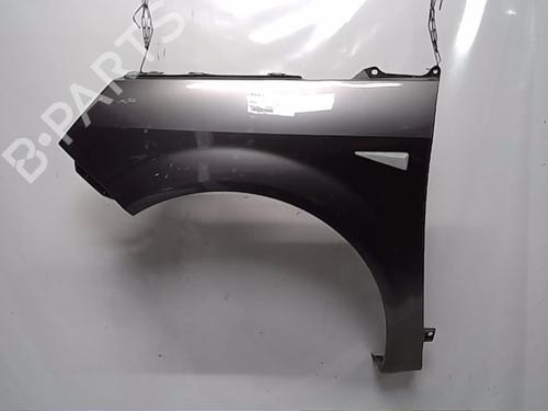 Used Left front fenders RENAULT SCÉNIC II (JM0/1_) [2003-2010]  13842185