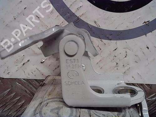 Hinge/Door check strap RENAULT SCÉNIC IV (J9_) 1.3 TCe 160 (J9NC) | BP14556389C146 