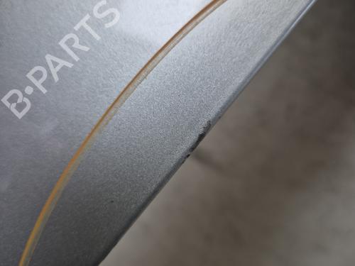 Left front door DACIA SANDERO  | BP30187724C2 