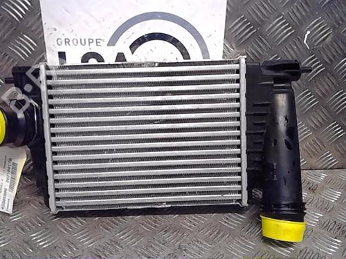 Used Intercooler RENAULT SCÉNIC IV (J9_) 1.3 TCe 160 (J9NC) (159 hp) 13855843