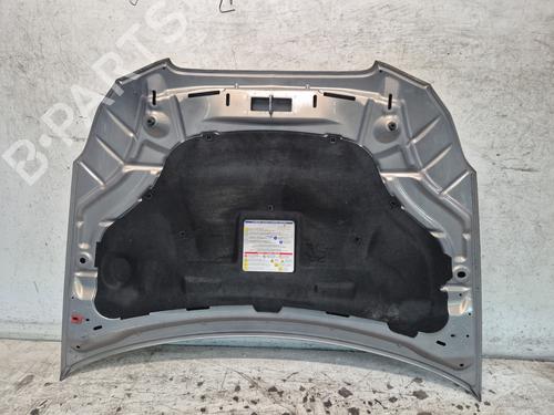 Hood LANCIA DELTA III (844_) 1.6 D Multijet (844.AXC11, 844.AXC1A) | BP29195705C1 