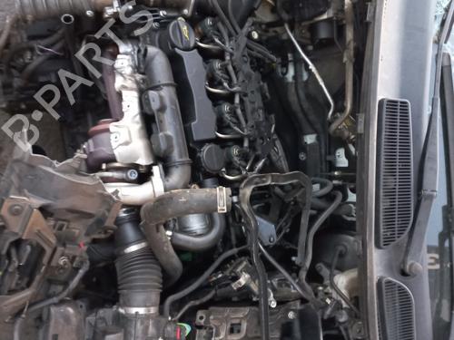 Front left panel FORD FIESTA VI (CB1, CCN) 1.6 TDCi | BP37150093C58 - Image 5