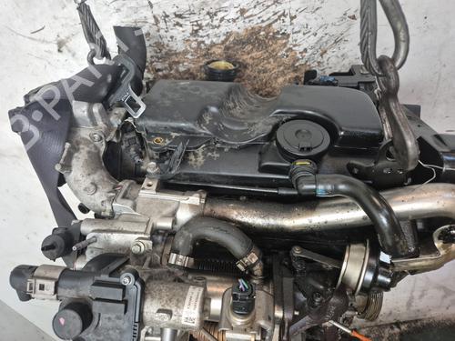 Engine RENAULT MEGANE III Hatchback (BZ0/1_, B3_)  | BP30195222M1 