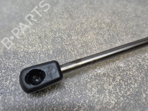 Pansergassdemper RENAULT MEGANE III Hatchback (BZ0/1_, B3_) | BP30824544C139