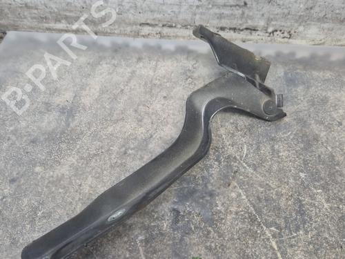 Hinge/Door check strap NISSAN QASHQAI I (J10, NJ10)  | BP30117533C146 