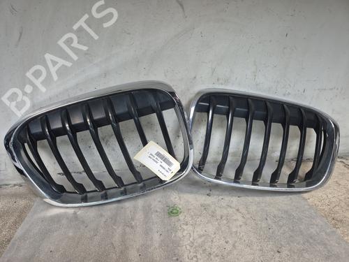 Used Grille BMW X1 (F48) sDrive 18 d (150 hp) 29215004