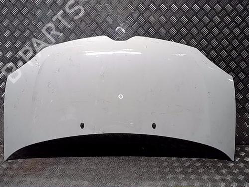 Used Hood RENAULT TWINGO III (BCM_, BCA_) 0.9 TCe 90 (BCM9, BCM2) (90 hp) 13854914
