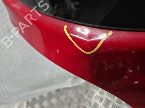 Tailgate RENAULT CLIO III (BR0/1, CR0/1) | BP30651822C6