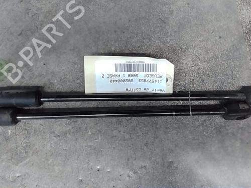 Tailgate lift support PEUGEOT 5008 (0U_, 0E_) 1.6 BlueHDi 120 | BP29962925C138