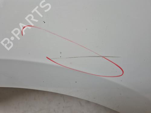 Left front fenders RENAULT KANGOO Express (FW0/1_)  | BP27306543C41 